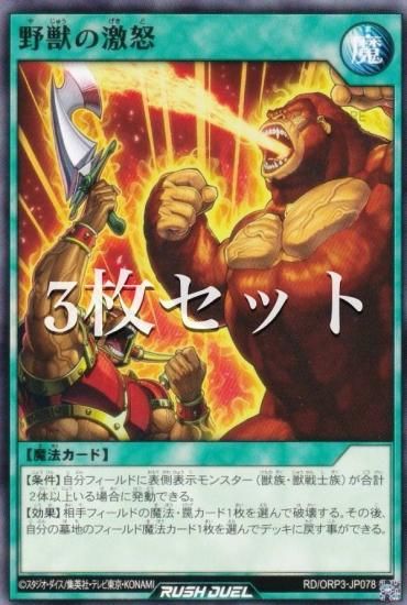 3祻åȡͷ åǥ奨 RD/ORP3-JP078 äη (ܸ Ρޥ) Сåѥå3