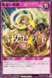3祻åȡͷ åǥ奨 RD/ORP3-JP080 ε (ܸ Ρޥ) Сåѥå3