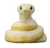 ڥܡѥ ѥƥ륨ߥ⥶ۤƤΤե12