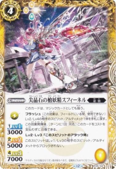 Хȥ륹ԥå P25-04 Фեͥ (PR ץ) V 2025ǯ 12 Ͽ