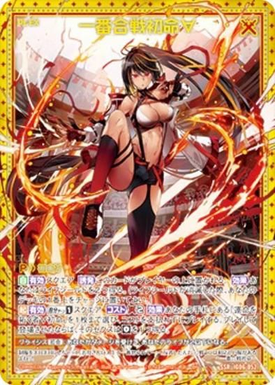  Z/X IG06-052 ֹ̿ (SSR ) ˥åѥå ͥեƥ (IG-06)