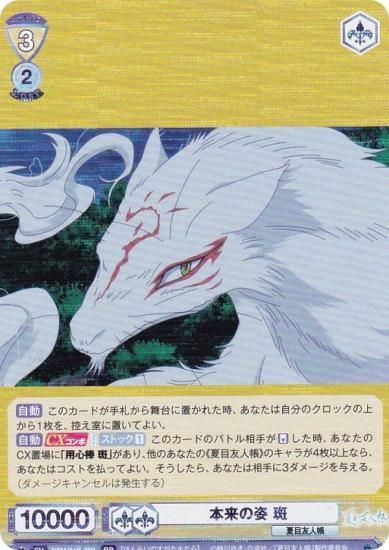 ĥ֥饦 NTM/01B-003 λ  (RR ֥쥢) ֡ѥå ͧĢ