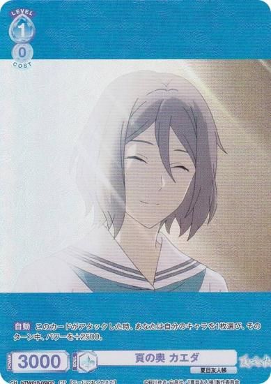 ĥ֥饦 NTM/01B-058CP Ǥα  (CP 쥯ѥ) ֡ѥå ͧĢ