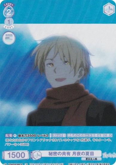 ĥ֥饦 NTM/01B-062CP ̩ζͭ β (CP 쥯ѥ) ֡ѥå ͧĢ