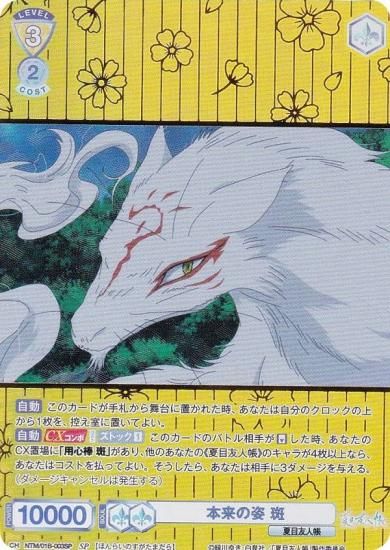 ĥ֥饦 NTM/01B-003SP λ  (SP ڥ) ֡ѥå ͧĢ