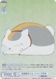 ĥ֥饦 NTM/01S-002CP 뿲 ˥ (CP 쥯ѥ) ȥǥå ͧĢ