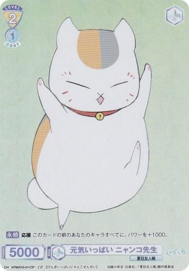 ĥ֥饦 NTM/01S-011CP äѤ ˥ (CP 쥯ѥ) ȥǥå ͧĢ