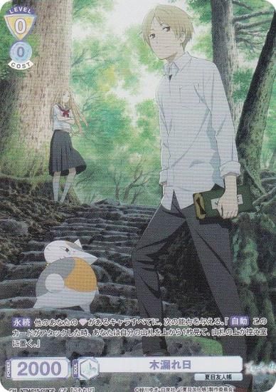 ĥ֥饦 NTM/01S-018CP ϳ (CP 쥯ѥ) ȥǥå ͧĢ