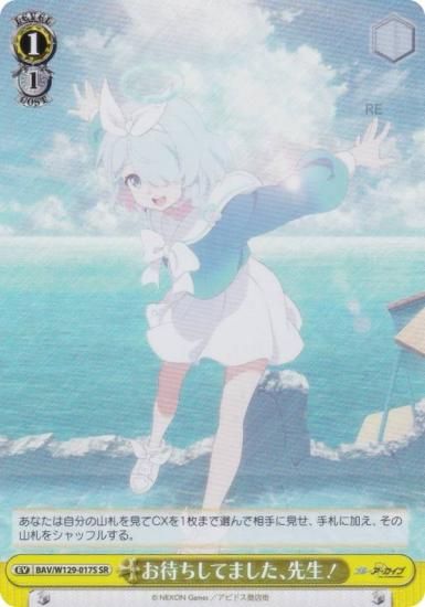  BAV/W129-017S ԤƤޤ (SR ѡ쥢) ֡ѥå ֥롼 The Animation