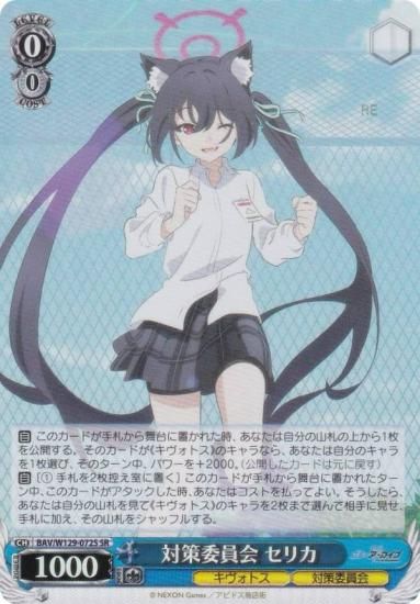  BAV/W129-072S кѰ ꥫ (SR ѡ쥢) ֡ѥå ֥롼 The Animation