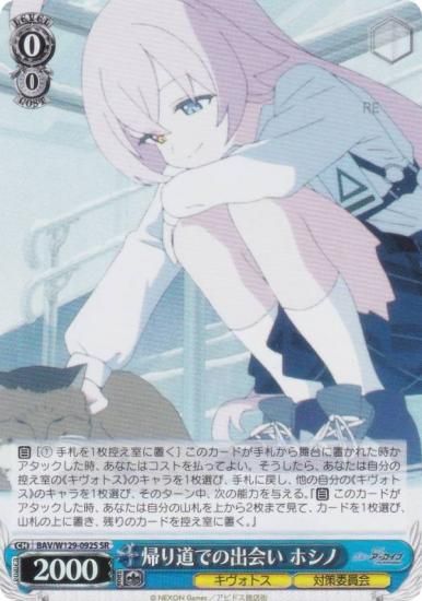  BAV/W129-092S ƻǤνв ۥ (SR ѡ쥢) ֡ѥå ֥롼 The Animation