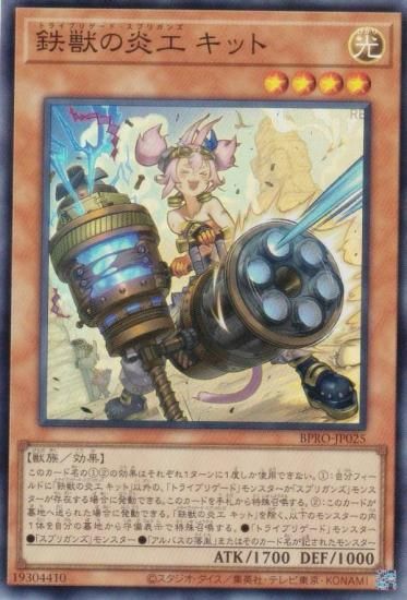 ͷ BPRO-JP025 Ŵäα깩 å (ܸ ѡ쥢) Сȡץȥ