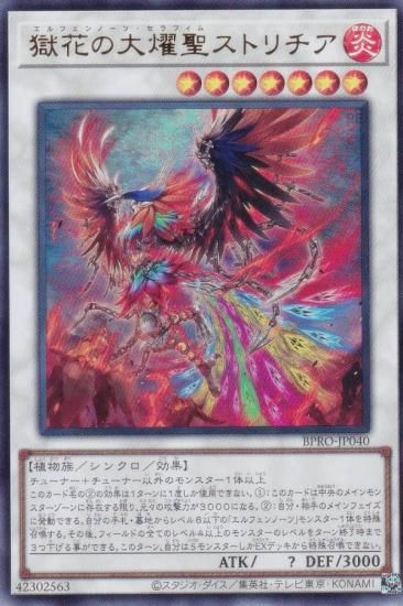 ͷ BPRO-JP040 ֤ȥ (ܸ ȥ쥢) Сȡץȥ