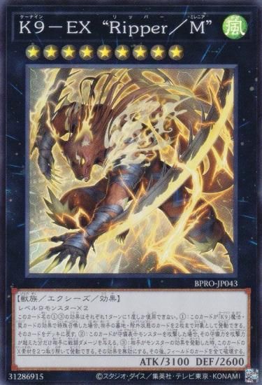 ͷ BPRO-JP043 ˣݣţ ȣң򡿣͡ (ܸ ѡ쥢) Сȡץȥ