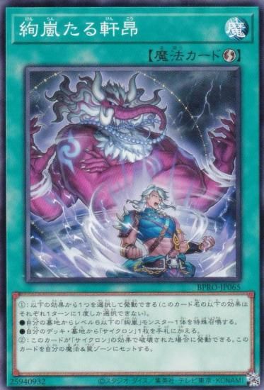 ͷ BPRO-JP065 򤿤븮 (ܸ Ρޥ) Сȡץȥ