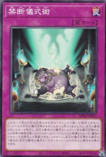 ͷ BPRO-JP077 ǵ (ܸ Ρޥ) Сȡץȥ