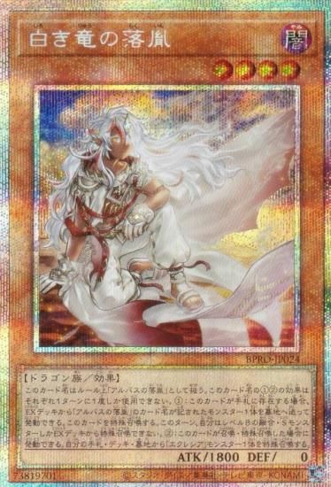 ͷ BPRO-JP024 ε (ܸ ץꥺޥƥååȥ쥢) Сȡץȥ