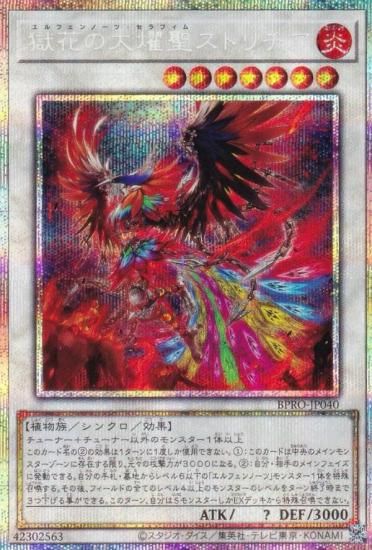 ͷ BPRO-JP040 ֤ȥ (ܸ ץꥺޥƥååȥ쥢) Сȡץȥ