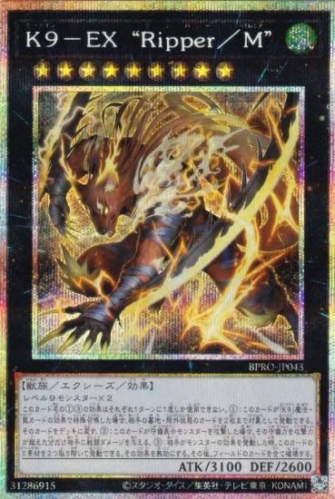 ͷ���� BPRO-JP043 �ˣ��ݣţ� �ȣң����򡿣͡� (���ܸ��� �ץꥺ�ޥƥ��å���������åȥ쥢) �С����ȡ��ץ��ȥ���