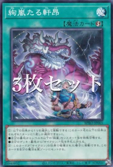 3祻åȡͷ BPRO-JP065 򤿤븮 (ܸ Ρޥ) Сȡץȥ