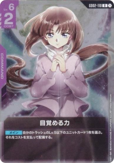 ५ɥ GD02-110 ܳФ (R 쥢) ֡ѥå Dual Impact