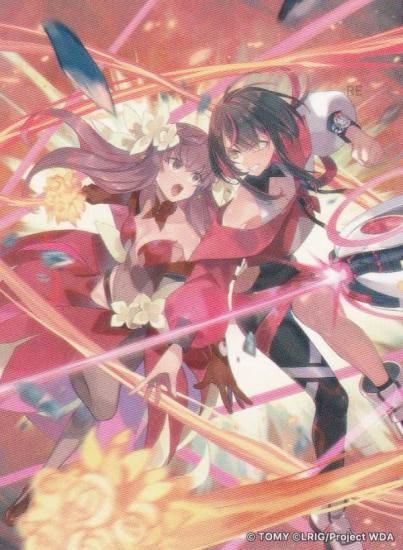  [ͷ/ƥå1]Τ ե륢ȥƥåڡ