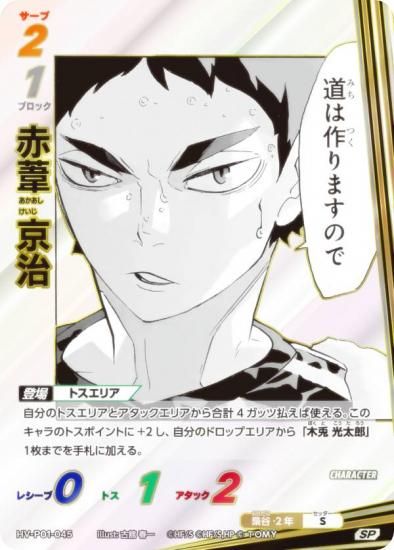 ڥѥۥϥ塼!! Хܥ!! BREAK HV-P01-045 ְ  (SP ѡХ) ֡ѥå ߼Τƾη