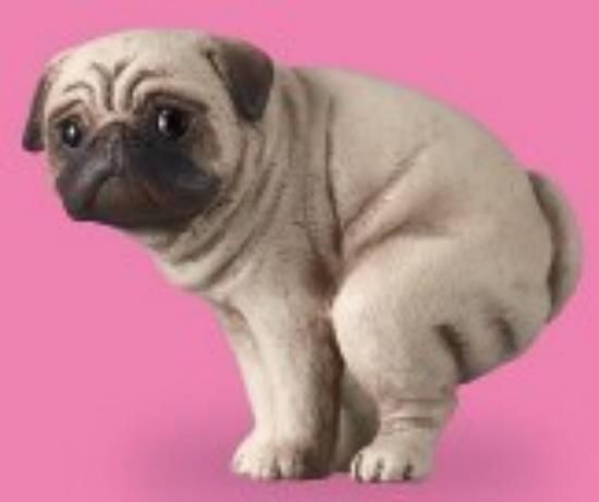 �ڥѥ��ۤդ�Ф꡼��2