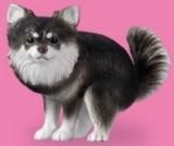 ڥʥ֥åˡۤդФ꡼2