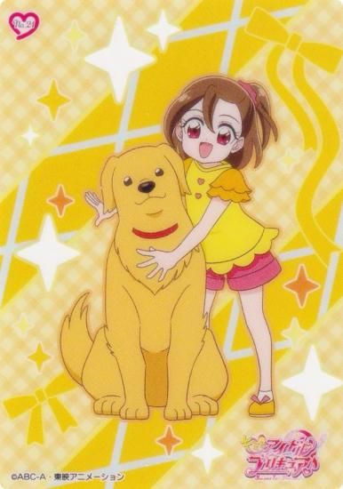 No.21 ɤϤ塼 ߤȥɥץꥭ奢 ꥢɥ쥯󥬥 ɤΤ