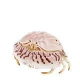 ڥȥեåѡ ͥ㡼ƥ˥顼MONO PLUS ߤ٤Τ ޥͥå&ܡ2