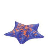 ڥȥޥҥȥǡ ͥ㡼ƥ˥顼MONO PLUS ߤ٤Τ ޥͥå&ܡ2