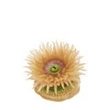 ڥߥɥꥤ㥯 ͥ㡼ƥ˥顼MONO PLUS ߤ٤Τ ޥͥå&ܡ2