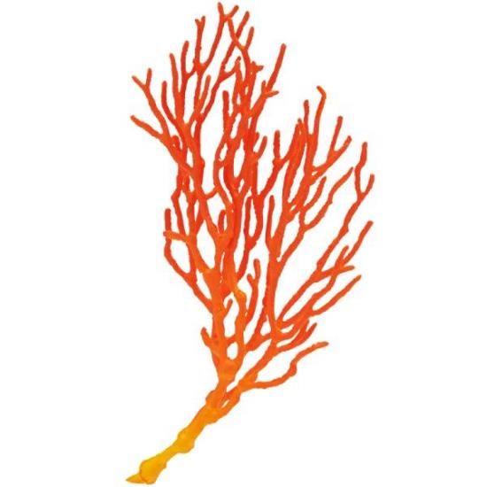 ڥХʡ ͥ㡼ƥ˥顼MONO PLUS ߤ٤Τ ޥͥå&ܡ2