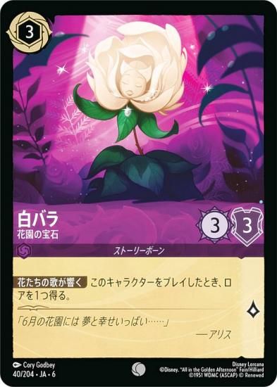 ǥˡ 륫TCG 40/204JA6 Х ֱ (ܸ )