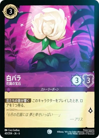 ڥեۥǥˡ 륫TCG 40/204JA6 Х ֱ (ܸ )