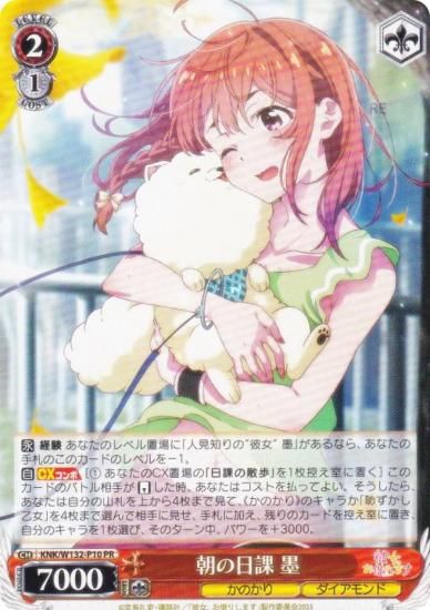  KNK/W132-P10 ī  (PR ץ) ֡ѥå ڤꤷޤ Vol.2