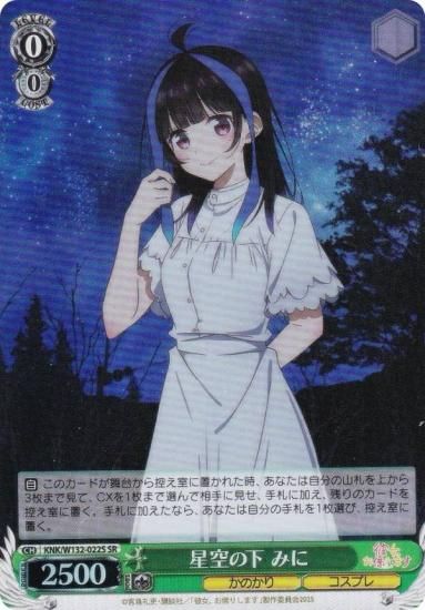  KNK/W132-022S β ߤ (SR ѡ쥢) ֡ѥå ڤꤷޤ Vol.2