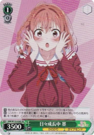  KNK/W132-026S Ĺ  (SR ѡ쥢) ֡ѥå ڤꤷޤ Vol.2