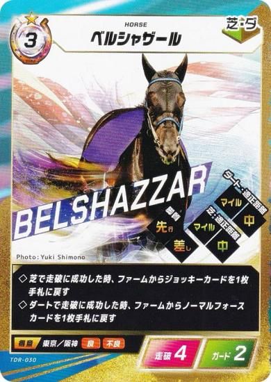 �ե����������֡������ۡ��� TDR-030 �٥륷�㥶���� (N �Ρ��ޥ�) �֡��������ѥå���3�� ���β� ����