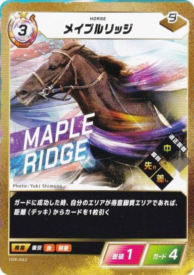 �ե����������֡������ۡ��� TDR-042 �ᥤ�ץ��å� (N �Ρ��ޥ�) �֡��������ѥå���3�� ���β� ����