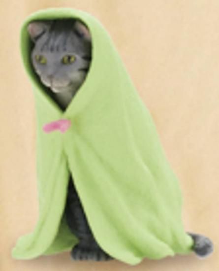 ڥХȥʥ꡼󥿥ˡۤͤ