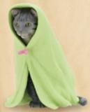 �ڥ��Хȥ�ʥ��꡼�󥿥���ˡۤͤ������