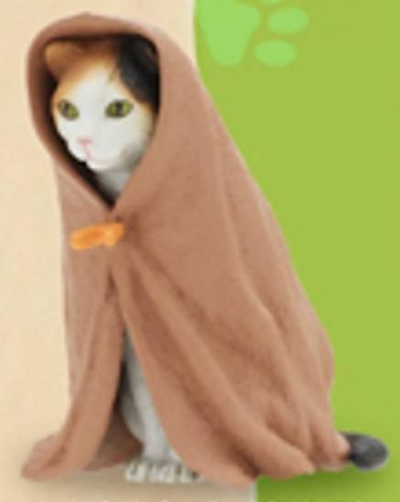 ڻӡʥ֥饦󥿥ˡۤͤ