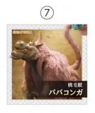 7.ӽ ХХ (С)  󥹥ϥ󥿡磻륺 륰 Τ