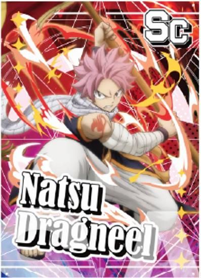 ڥʥġɥ饰˥ (å)ۡˡFAIRY TAIL ȥ졼ǥ󥰥