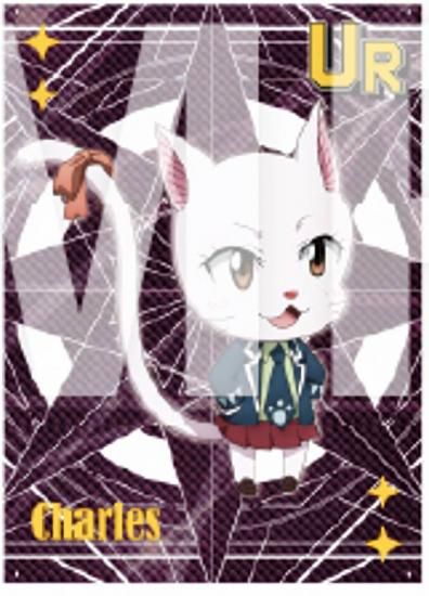 ڥ (ȥ쥢)ۡˡFAIRY TAIL ȥ졼ǥ󥰥