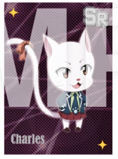 ڥ (ѡ쥢)ۡˡFAIRY TAIL ȥ졼ǥ󥰥