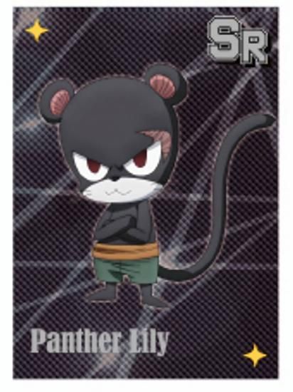 ڥѥ󥵡꡼ (ѡ쥢)ۡˡFAIRY TAIL ȥ졼ǥ󥰥