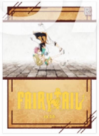 ڥʥġɥ饰˥ϥåԡ롼ϡȥեꥢB (쥢)ۡˡFAIRY TAIL ȥ졼ǥ󥰥